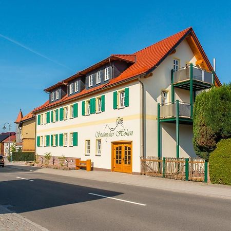 Staimicher Hoehen - Premium Appartements Kurort Steinbach-Hallenberg ภายนอก รูปภาพ